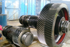 Gear For Paper Mill